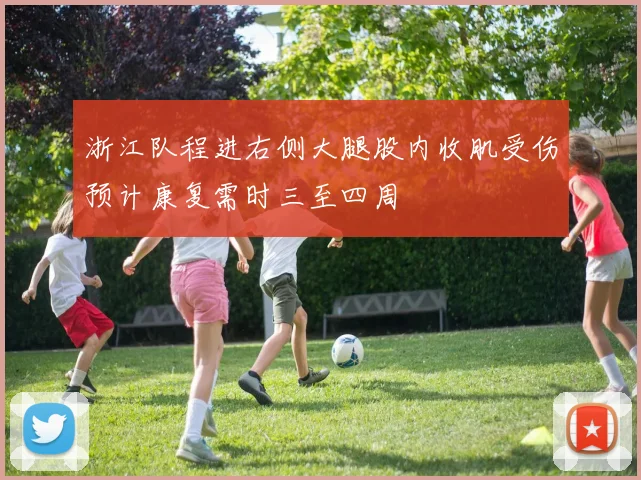 浙江队程进右侧大腿股内收肌受伤预计康复需时三至四周