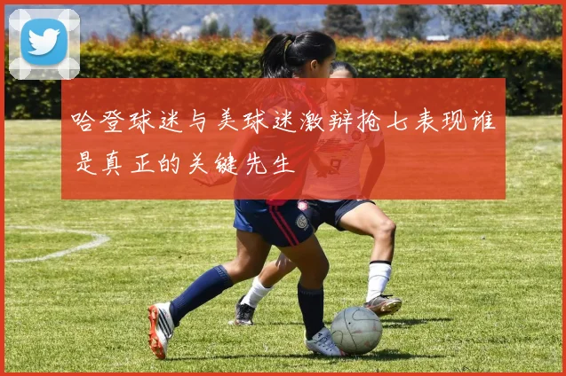 哈登球迷与美球迷激辩抢七表现谁是真正的关键先生