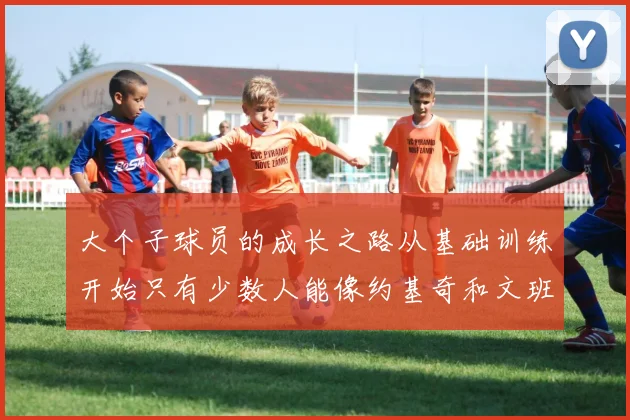 大个子球员的成长之路从基础训练开始只有少数人能像约基奇和文班那样成功